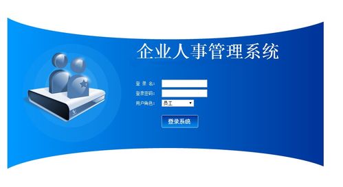 企業(yè)員工信息管理系統(tǒng)的設(shè)計(jì)與實(shí)現(xiàn) 基于管理咨詢視角的優(yōu)化策略